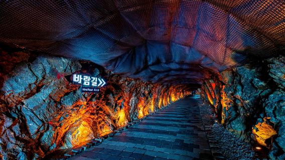 โซล: กระเช้าซอแฮรัง, ถ้ำกวางมยอง ฯลฯ (EG Tour)