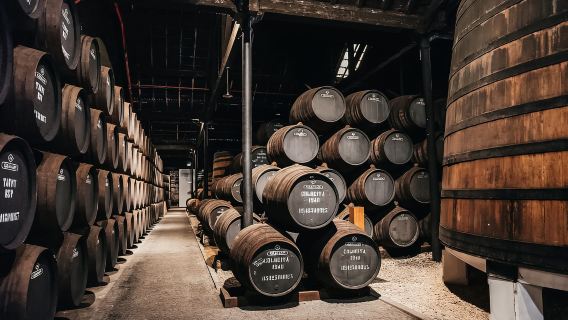 Porto: tour del Graham's Port Lodge e degustazione di vini nella Vintage Room