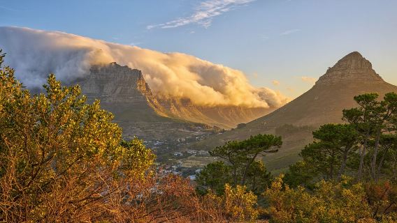 Sudáfrica - Todo el país | Acompañamiento de traducción | Guía turístico local | Ferias | Visitas comerciales | Servicios de recepción local | (Personalizable)