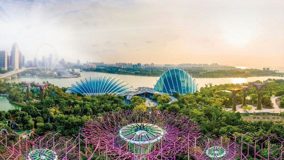 สิงคโปร์ จิวเวลล์ ชางงี + ฟลายเออร์ + ลิตเติ้ลอินเดีย + เมอร์ไลออนพาร์ค (สามารถปรับแต่งได้)