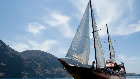 Tenerife: Crucero de avistamiento de ballenas en Los Gigantes con comida