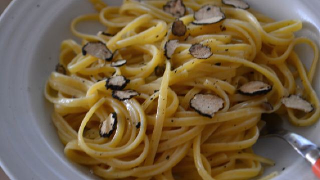 Florence: Truffle Hunting, Lunch, and Wine Tasting Tour