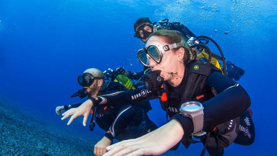 Santa Cruz de Tenerife: Advanced introductory course