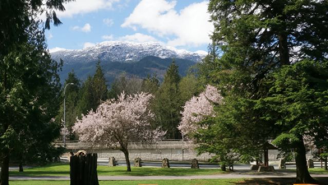 加拿大溫哥華-惠斯勒一日遊【中文包車自由行】