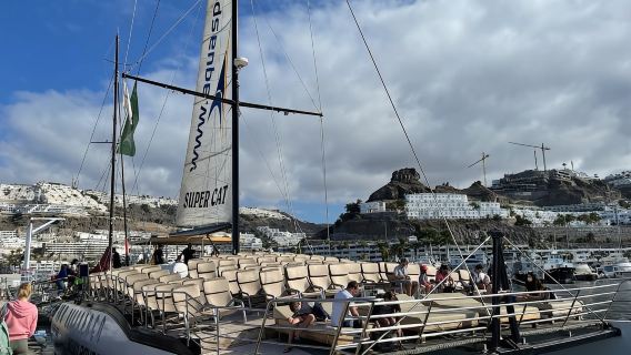 Puerto Rico de Gran Canaria: Premium Dolphin Catamaran Tour