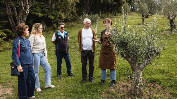 Waiheke Island Gourmet Food and Wein-Tour mit Austern