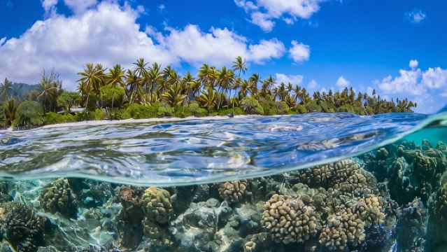 Excursión grupal de día completo a la laguna de Bora Bora con almuerzo