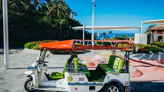 Double Tuk Tuk Tour in Costa Adeje