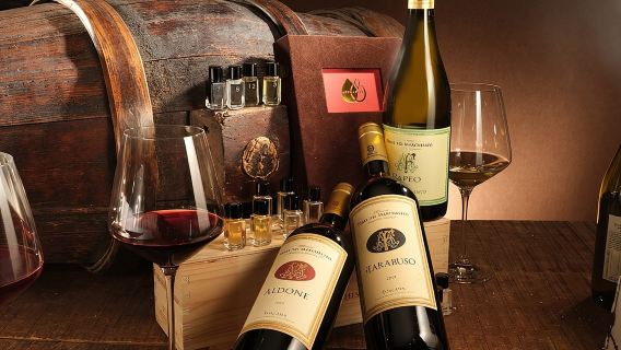 Bolgheri: Sensorial Wine Tasting with Winery Tour