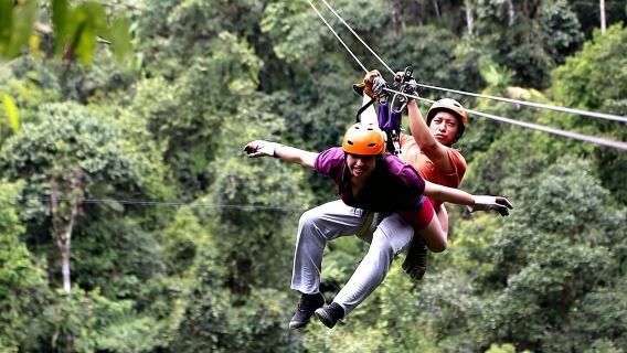 Mystische Wunder des Geistes: Ein ganzer Tag voller Entdeckungen im Traumland der Natur!