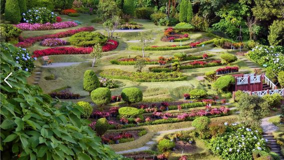 タイ・チェンマイ インタノン山・国立公園 ワンデーツアー＋軽ハイキング【ホテル送迎＋日本語/英語ガイド付き】