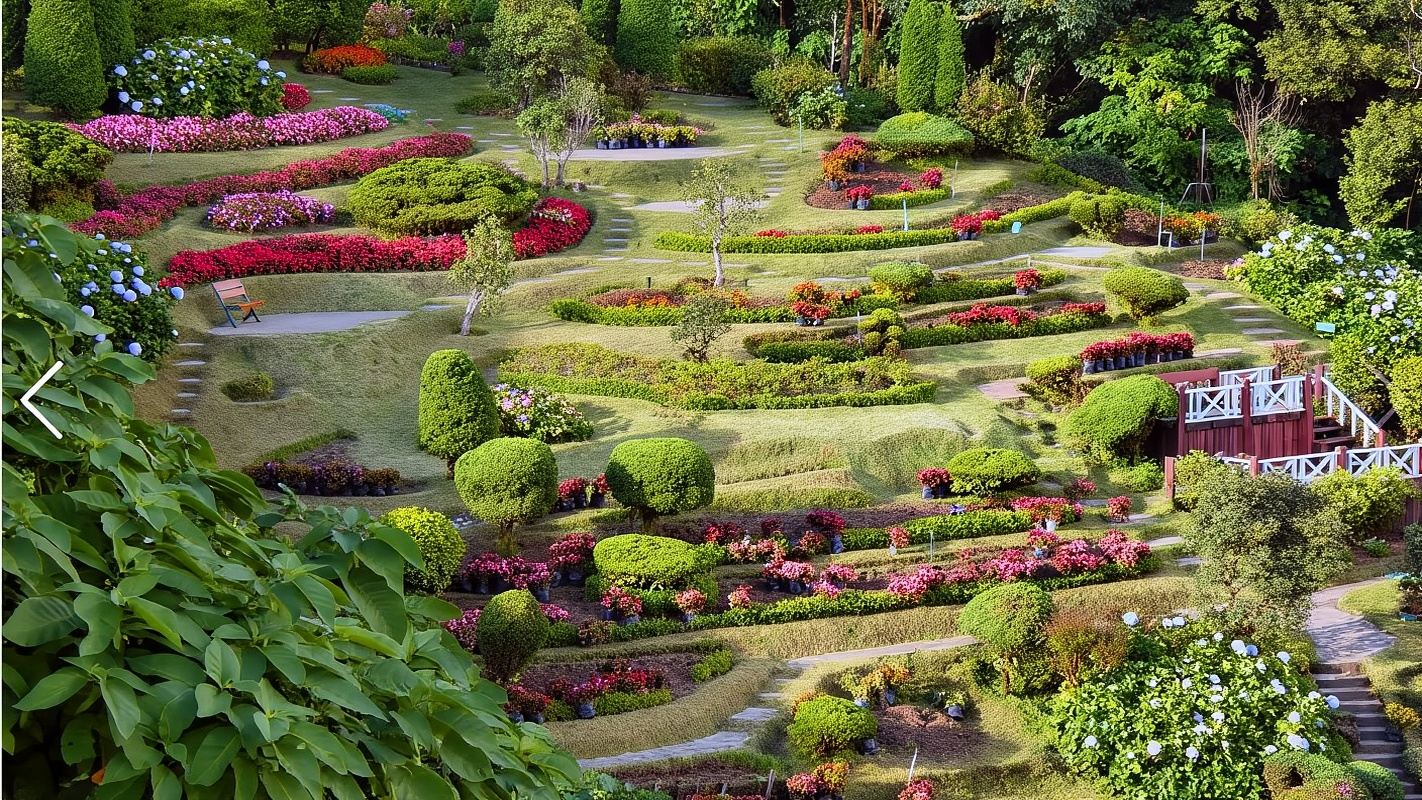 ทัวร์ 1 วันอุทยานแห่งชาติดอยอินทนนท์เชียงใหม่ + เดินป่าเบาๆ [บริการรับส่งที่พัก + ไกด์นำเที่ยวภาษาจีน/อังกฤษ]