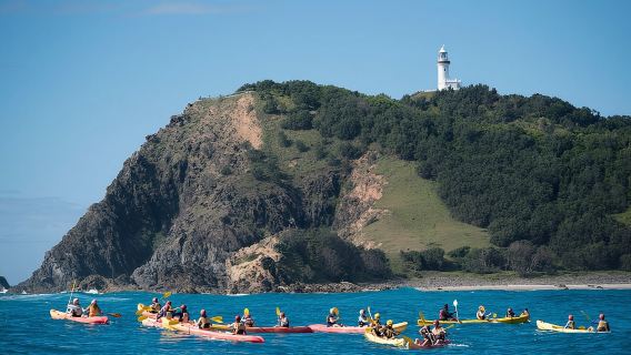 Kayaking with Dolphins in Byron Bay Guided Tour