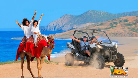 Beach UTV & Camel Ride COMBO in Cabo by Cactus Tours Park