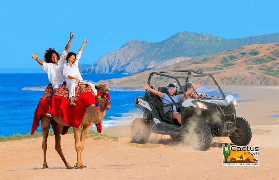 卡波聖盧卡斯海灘UTV和駱駝騎行組合