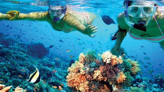 CancunTours