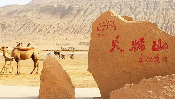 1-day private charter tour from Urumqi with door-to-door service - Turpan tour with 3 optional attractions and comfortable freedom
