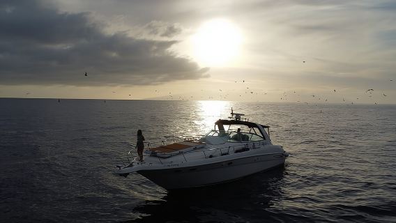4-stündige Bootstour mit Schnorcheln ab Puerto Rico und Mogan