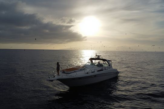 4-часовая экскурсия на лодке со снорклингом из Пуэрто-Рико и Могана