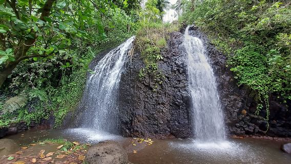 Tur Pribadi Setengah Hari di Pesisir Tahiti