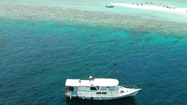 Sandbank, Snorkeling, Dolphin Cruise, Picnic, Local Island Tour