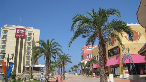 沖縄美ら海水族館～波の上ビーチ～ぐり島【沖縄限定少人数制】
