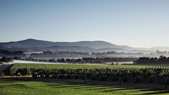 特價拼團墨爾本蒸汽火車+亞拉河谷眾酒莊一日遊·團期請諮詢客戶服務支援