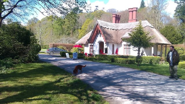 Guided Killarney National Park Walking Tour