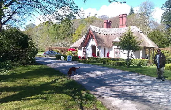 基拉尼國家公園導賞步行團