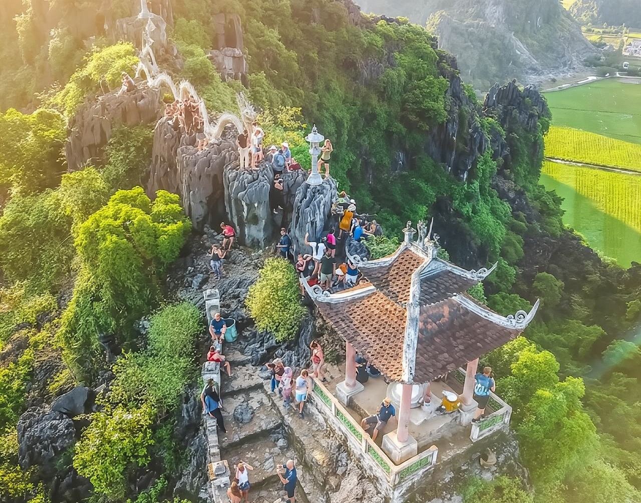 The Best Ninh Binh Day Tours Hoa Lu/Bai Dinh-Tam Coc/Trang An-Mua Cave and Cycling