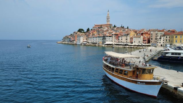 Novigrad: Sunset Dolphin Watching Boat Tour by Matek