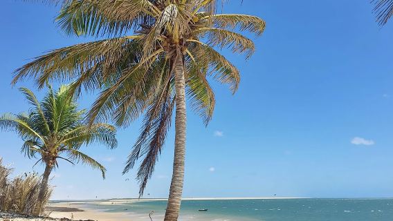 Atins Circuit: Dunes, Lagoons & Canto Beach Stop