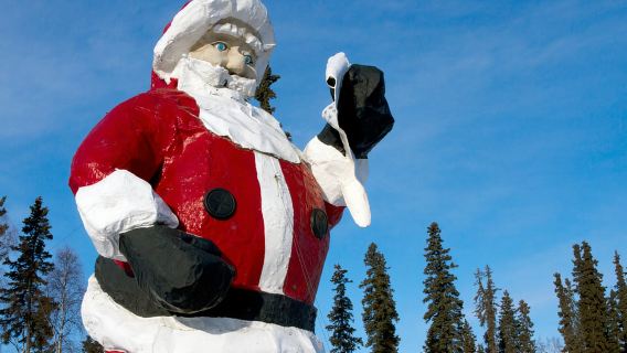 The Best of Fairbanks: Half-Day City Highlights Tour