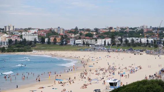 Dal porto di Sydney a Bondi: esperienza di mezza giornata per piccoli gruppi