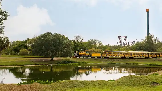 Tampa: Busch Gardens Tampa Bay Ticket & Multi-Park Options