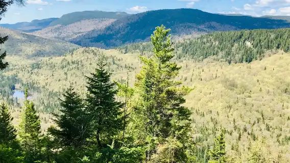Quebec City: Guided Hike in Jacques-Cartier National Park
