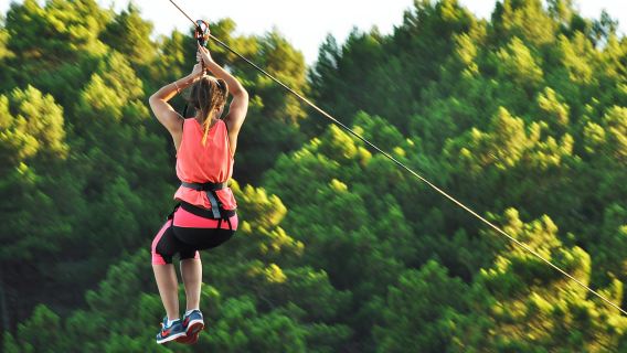 Benidorm: TirolinasGo Alicante Forestal Park