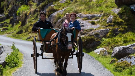 Tour in barca di Gap of Dunloe e dei laghi di Killlarney