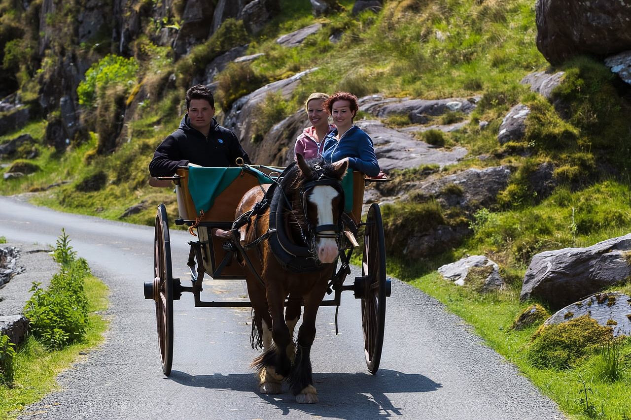 Gap of Dunloe & Lakes of Killlarney Boat Tour