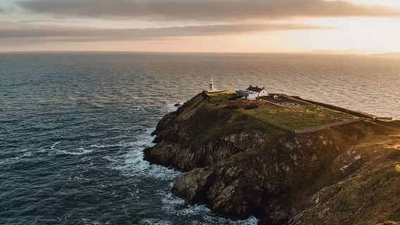Da Dublino: tour guidato di mezza giornata lungo la costa fino al villaggio di Howth
