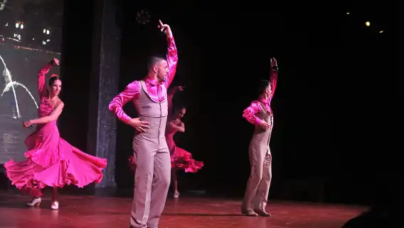 Tenerife: Flamenco Performance at Teatro Coliseo
