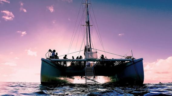 Oahu : croisière et baignade en catamaran au coucher du soleil à Waikiki