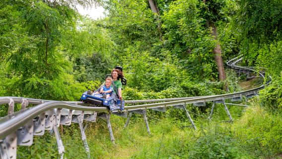 Berlin: Tiket Larian Bobsled Alam Semula Jadi