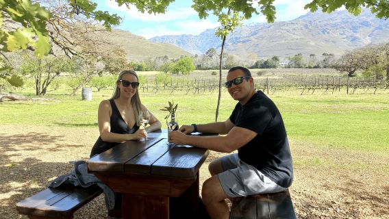 Franschhoek: E-Bike & Wine Tour (Shared Tour)
