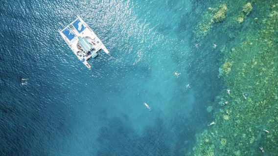 Desde Ka'anapali: tour de snorkel de medio día por el oeste de Maui con comida