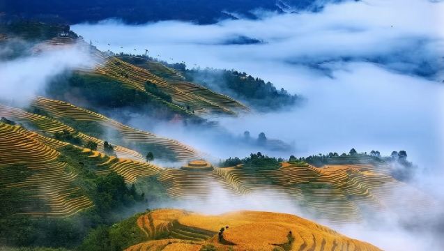Terokai Gua Seruling Ajaib, Nikmati Tangga Langit Longji/Lawatan Sehari Sewaan Peribadi Guilin