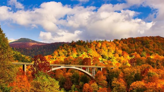 日本青森經典遊 │ 奧入瀨溪流＆十和田湖＆八甲田山一日遊