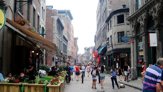 Montreal Jardin botanique de Montréal + Marché des Éclusiers + Old Montreal Day Tour