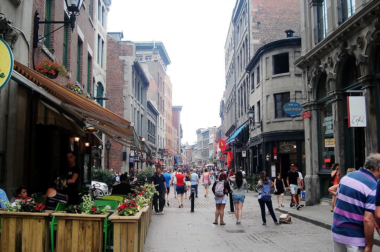 Tour di un giorno al Giardino Botanico di Montréal, al Mercato di Jean-Talon e alla Città Vecchia