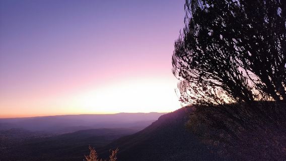 Sydney Blue Mountain Night Tour